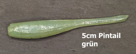 5cm Pintail