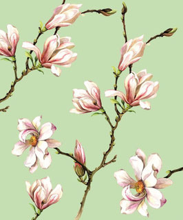 Microfibre pour lunettes Magnolia vert