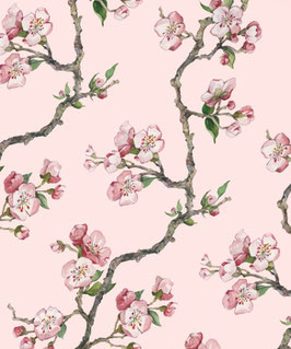Microfibre pour lunettes Fleur de cerisier rose