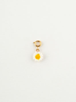 NACH - Charm's marguerite
