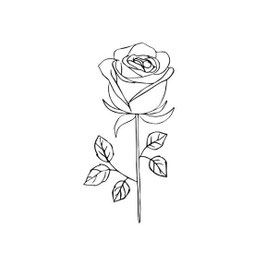 SIOOU - Tatouage éphémère Rose noire