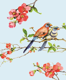 Microfibre pour lunettes Couple d'oiseaux bleu clair