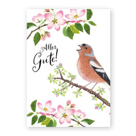 Postkarte Buchfinkständchen "Alles Gute!" | Atelier Baldrian & Hackel