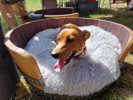 Hundebett aus Weinfass
