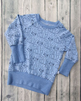 Pulli Katzen