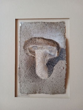 Shiitake