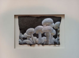 Enoki (horizontal cluster)