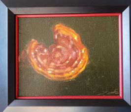 Reishi Mushroom