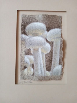 Enoki