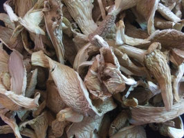 Dried Oyster Mushrooms