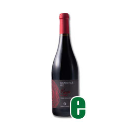 IN ANFORA SENSALE BIO SYRAH I.G.P. SIBILIANA CL75
