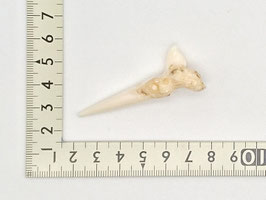 Peg:Whale Tail ＃4