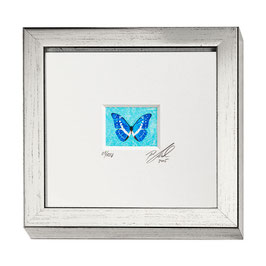 AD-0028 - Kunstdruck "Schmetterling" im Naturholzrahmen "Silber" 15 x 15 cm