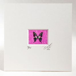 AD-0021 - Kunstdruck "Schmetterling" im Passepartout 15 x 15 cm, ohne Bilderrahmen