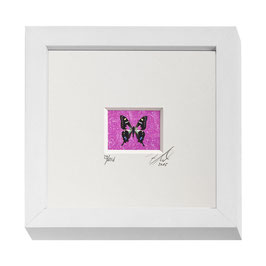 AD-0021 - Kunstdruck "Schmetterling" im Naturholzrahmen "weiss" 15 x 15 cm