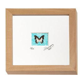 AD-0012 - Kunstdruck "Schmetterling" im Naturholzrahmen "Natur" 15 x 15 cm