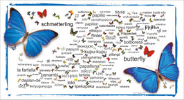 Rarität: Das Wort "SCHMETTERLING", übersetzt in 144 Sprachen - Maxikarte   - Bestellnummer  PK 26/00 Sonder