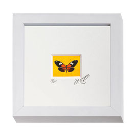 AD-0032 - Kunstdruck "Schmetterling" im Naturholzrahmen "weiss" 15 x 15 cm