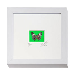 AD-0024 - Kunstdruck "Schmetterling" im Naturholzrahmen "weiss" 15 x 15 cm