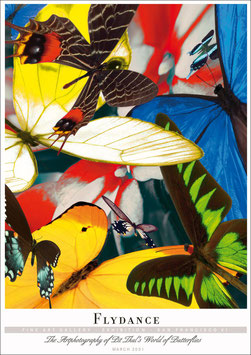 Künstlerisches DIN A1 Plakat "Flydance" - Bestellnummer - P007/02