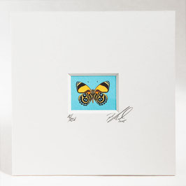 AD-0029 - Kunstdruck "Schmetterling" im Passepartout 15 x 15 cm, ohne Bilderrahmen