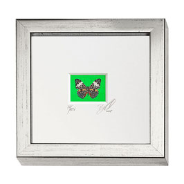 AD-0024 - Kunstdruck "Schmetterling" im Naturholzrahmen "Silber" 15 x 15 cm