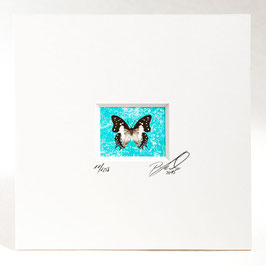 AD-0012 - Kunstdruck "Schmetterling" im Passepartout 15 x 15 cm, ohne Bilderrahmen