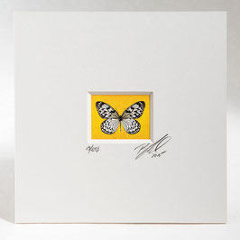 AD-0015 - Kunstdruck "Schmetterling" im Passepartout 15 x 15 cm, ohne Bilderrahmen