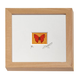 AD-0020 - Kunstdruck "Schmetterling" im Naturholzrahmen "Natur" 15 x 15 cm