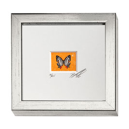 AD-0019 - Kunstdruck "Schmetterling" im Naturholzrahmen "Silber" 15 x 15 cm