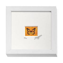 AD-0013 - Kunstdruck "Schmetterling" im Naturholzrahmen "weiss" 15 x 15 cm