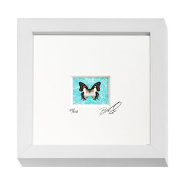 AD-0012 - Kunstdruck "Schmetterling" im Naturholzrahmen "weiss" 15 x 15 cm