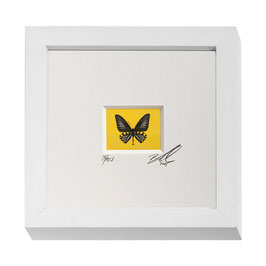 AD-0018 - Kunstdruck "Schmetterling" im Naturholzrahmen "weiss" 15 x 15 cm