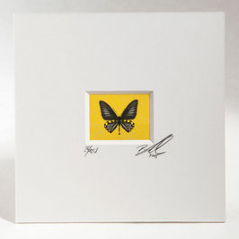AD-0018 - Kunstdruck "Schmetterling" im Passepartout 15 x 15 cm, ohne Bilderrahmen