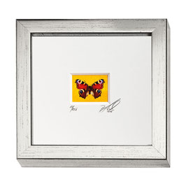 AD-0010 - Kunstdruck "Schmetterling" im Naturholzrahmen "Silber" 15 x 15 cm