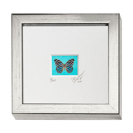 AD-0026 - Kunstdruck "Schmetterling" im Naturholzrahmen "Silber" 15 x 15 cm