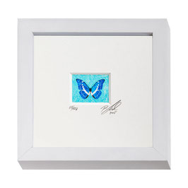 AD-0028 - Kunstdruck "Schmetterling" im Naturholzrahmen "weiss" 15 x 15 cm