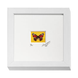 AD-0010 - Kunstdruck "Schmetterling" im Naturholzrahmen "weiss" 15 x 15 cm