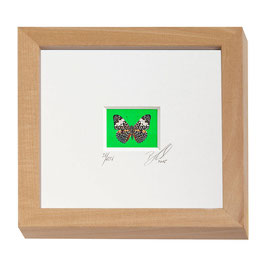 AD-0024 - Kunstdruck "Schmetterling" im Naturholzrahmen "Natur" 15 x 15 cm