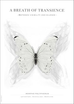 A Breath of Transience – Minimalistisches A2 Poster  - Bestellnummer - P26/02 -
