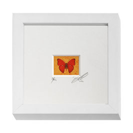 AD-0020 - Kunstdruck "Schmetterling" im Naturholzrahmen "weiss" 15 x 15 cm