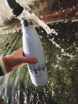 Alu Isolier-Trinkflasche