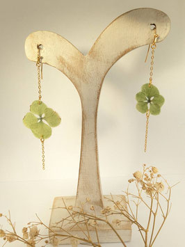 Boucle d'oreille d'Hortensia irisé vert asymétriques , chainette et crochet plaqué Or
