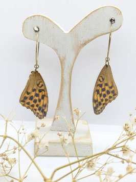 Boucle d'oreille - aile de papillon