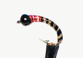 NEU Insect Eye IA 40