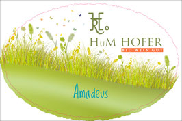 AMADEUS Weinviertel DAC Grüner Veltliner 2025