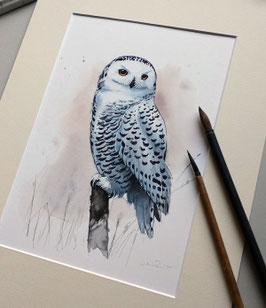 Kunstdruck "Schneeeule"