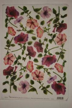 Calambour Carta Riso PAU 22