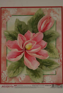 Stamperia Magnolia
