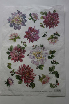 Calambour  Carta Riso PAU 14